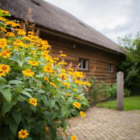 Aan De Aelder Esch Bed and Breakfast Aalden Exteriör bild