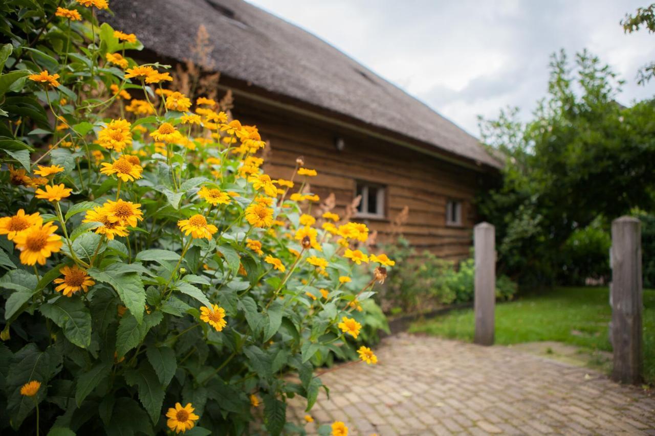Aan De Aelder Esch Bed and Breakfast Aalden Exteriör bild
